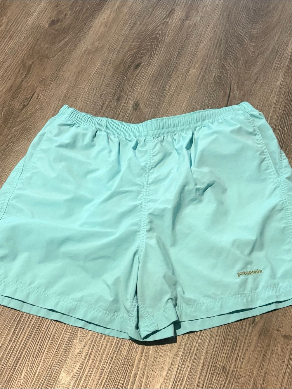 Patagonia Simple Shorts